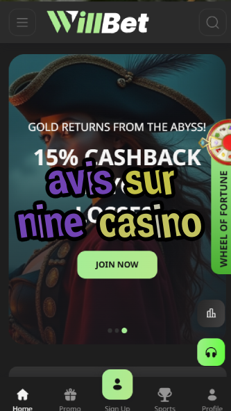 avis sur nine casino-asdasdzhjkds.com